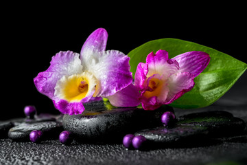 Fototapeta na wymiar spa still life of purple orchid dendrobium, green leaf Calla lil