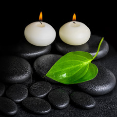 Fototapeta na wymiar spa concept of two white candles and green leaf on black zen sto