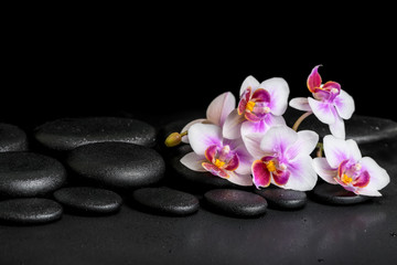 Fototapeta na wymiar beautiful spa background of purple orchid phalaenopsis on black