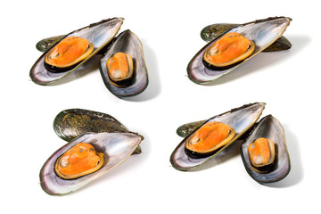 mussels