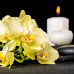 Fototapeta na wymiar beautiful spa background of yellow orchid phalaenopsis and candl