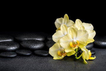 Fototapeta na wymiar beautiful spa concept of yellow orchid phalaenopsis on black zen