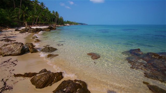 Tropical coast with white sand