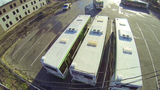Several buses parked in large parking lot during the day