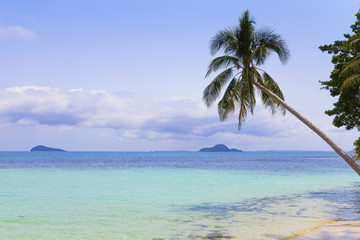 ヤシの木とビーチ　Palm trees and beach　Thailand