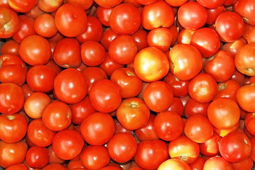 Red ripe tomatoes heap