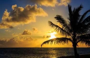 Obraz na płótnie Canvas Sunrise over Caribbean sea
