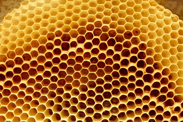 Honeycomb fragment