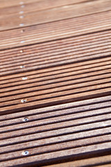 Robuste Terrassendielen