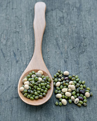 dried green beans in wooden spoon
