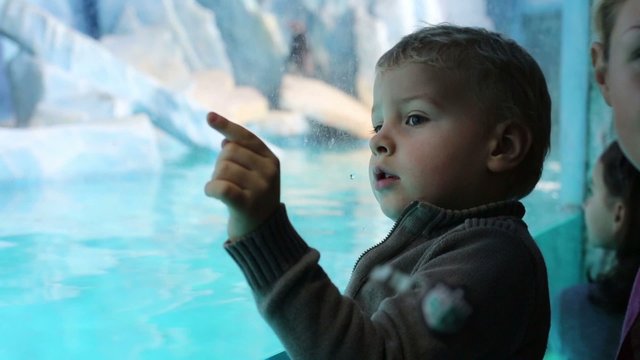 Little boy and his mother look  through glass at oceanarium