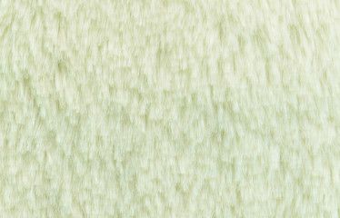 White fur background and texture