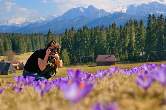 Woman photographer and crocuses in the spring, Poland