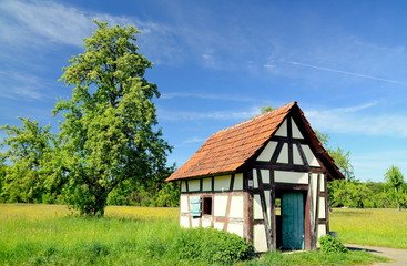 Fototapeta na wymiar Schäferhütte auf einer Frühlingswiese