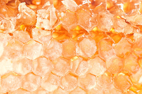 Yellow honeycomb slice