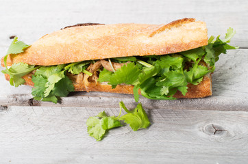 Banh Mi, Vietnamese sandwich filled with shredded chicken and co
