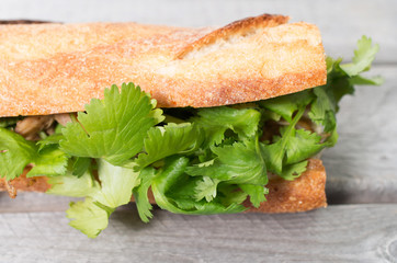 Banh Mi, Vietnamese sandwich filled with shredded chicken and co