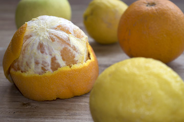 citrus of Calabria