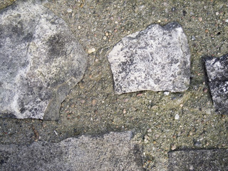 imestone in old concrete