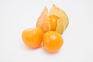Fresh physalis fruit