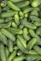 Heap of green cucumbers