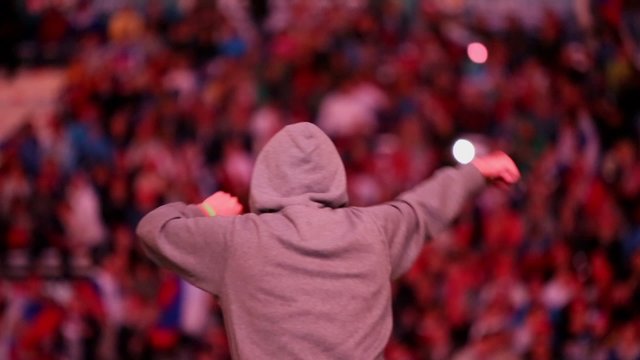 Football fan celebrates against tribunes