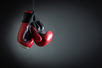 Boxing Gloves - 80211655