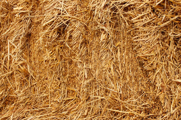 Pressed wheat straw