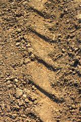 Fototapeta na wymiar Tread pattern on soil