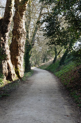 chemin le long du clain à Poitiers