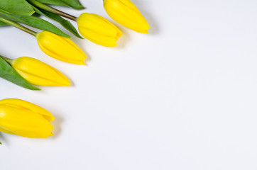 yellow tulips lying on white surface frame