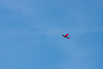 Fototapeta na wymiar Kite flying against the blue sky.
