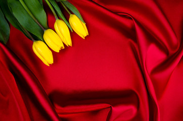 yellow tulips lying on red luxury abstract background frame