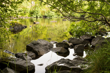 Cascadas Rogie, Escocia