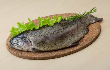 Raw fresh trout