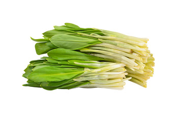 Wild leek bunch, isolated on white background