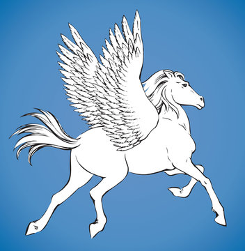Pegasus. Vector drawing