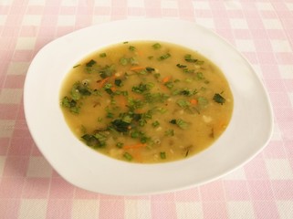 vegetable soup with potatoes and leeks