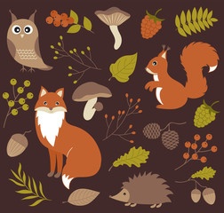Woodland animals set