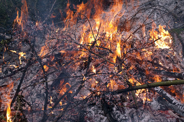 feu de jardin