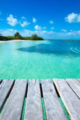 Fototapeta premium tropical sea