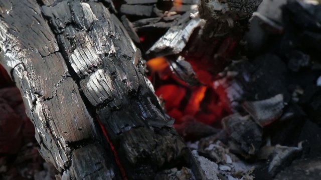 Fire, Natural Wood Planks and Logs Burning 16