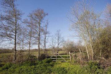 park of the city,europa Portugal