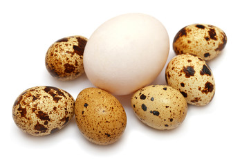 Fototapeta premium Chicken and quail eggs