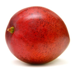 Mango fruit