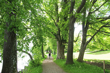 Wandern am Uferweg