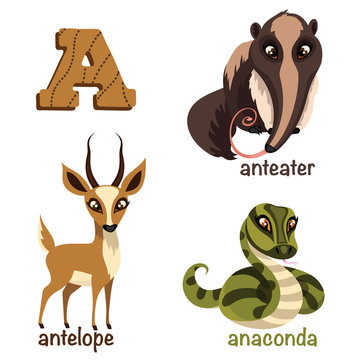 Alphabet animals. Anteater, anaconda, antelope.