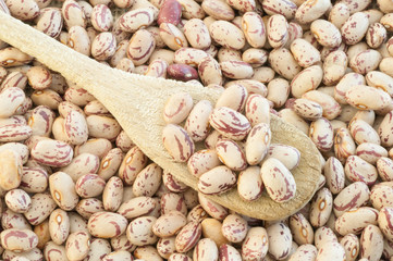 pinto beans