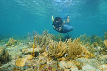 Man snorkeling underwater looks at the camera