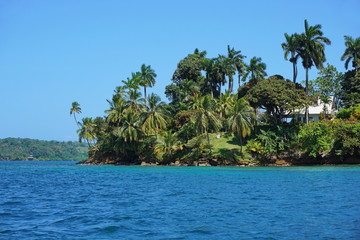 Obraz na płótnie Canvas Tropical island with an house viewed from the sea